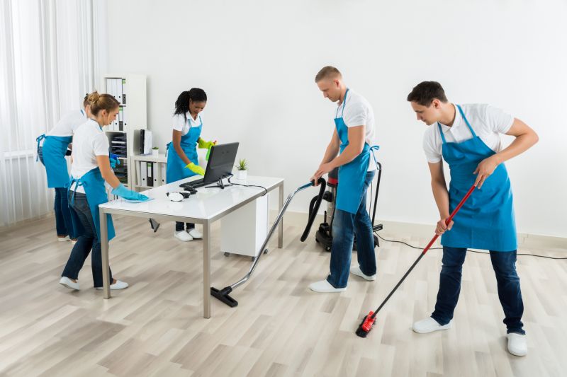 Professional Cleanup Team